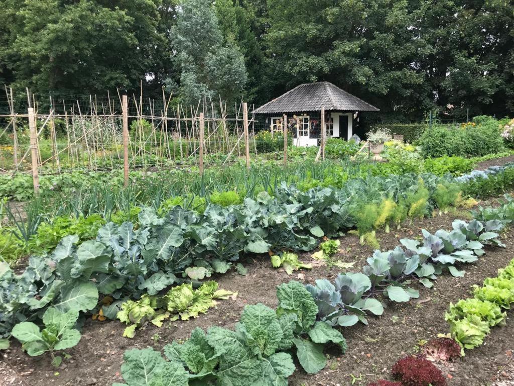 Het Wagenhuis Loon op Zand Extérieur photo